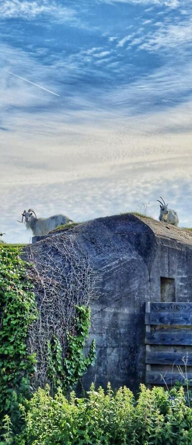 Vakantiehuis De Bunker Julianadorp Dış mekan fotoğraf